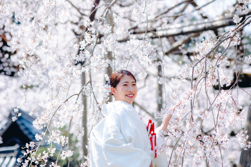 一花写真館｜ICHIHANA_【桜フォト】春の訪れを感じる桜の下でウエディングフォト