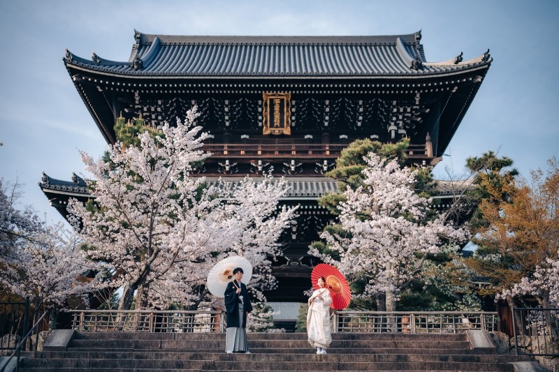 桜前撮り人気のため｜3/30-4/5撮影枠を1枠増やしました　￥88,000