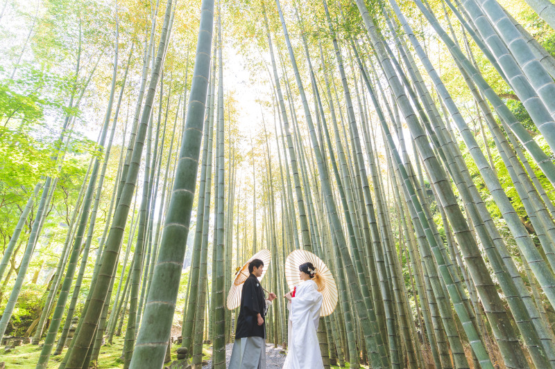 ☆京都満喫一花SP☆【圓光寺】秋の紅葉名所として有名☆見事な庭園は京都らしさそのもの♪ 和装1着1ヵ所ロケーションプラン