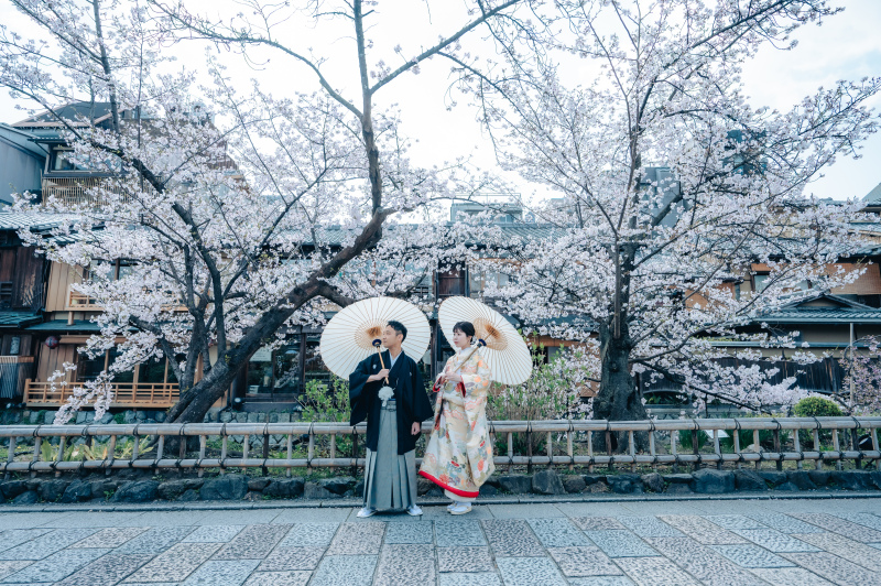 【3月4月撮影】桜早割campaign|和装+洋装【2月10日お申込の方限定】洋装ドレス付き和装小物全てから選べる!