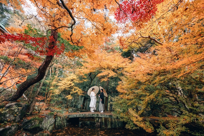 紅葉特割campaign【11月〜12月14日撮影|10月末まで申し込み限定】★割引特典付き|和装2着2カ所を巡れる‼