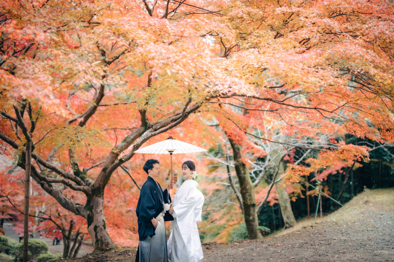 【11月~12月6日和1】第二弾!紅葉早割キャぺーン|新作追加料金なし全60着から選べる|1着1カ所で撮影|9月末迄お申込み