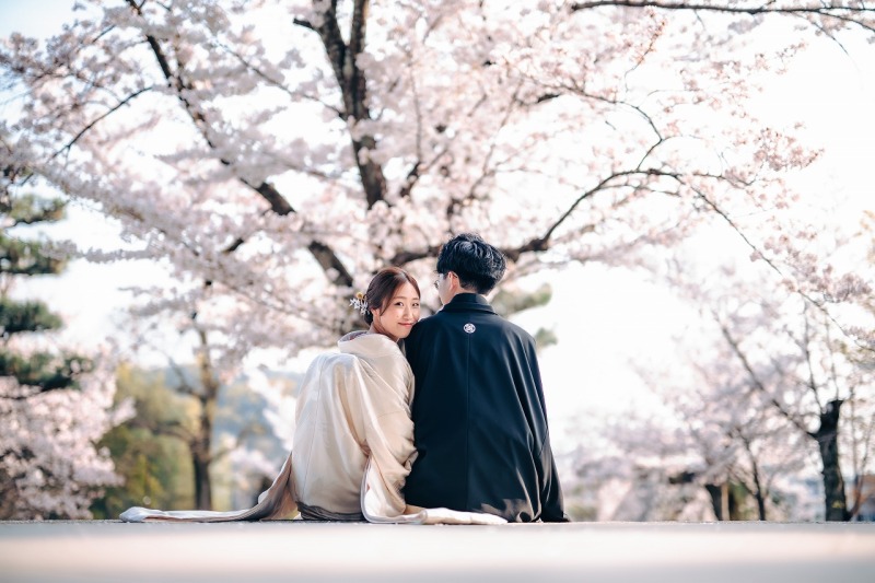 桜前撮り人気のため｜3/30-4/5撮影枠を1枠増やしました　￥88,000