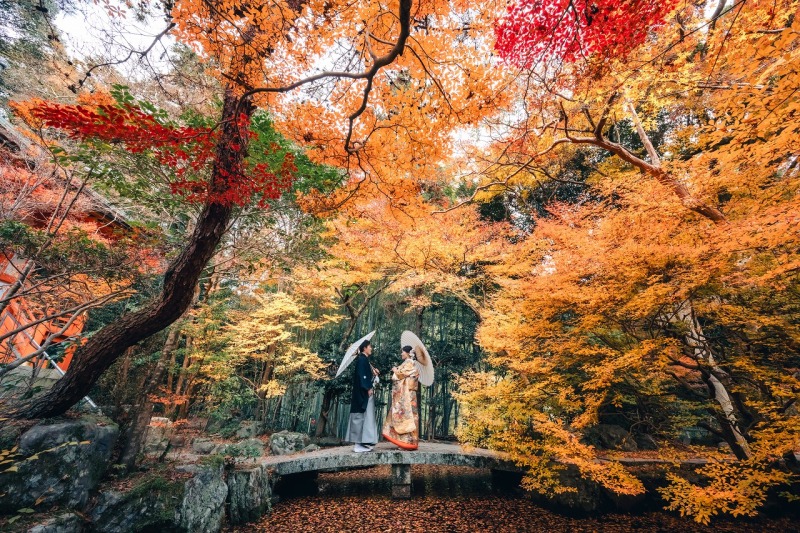 【9〜12月】撮影和装1着・1カ所|結婚式準備安心プラン|1週間スピード納品+3大特典