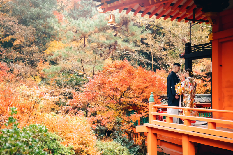 【11月和1】紅葉早割キャぺーン|新作も追加料金なし・全60着から選べる|京都紅葉名所1カ所で撮影|8月末までお申込み限定