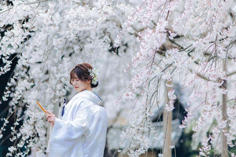 【3月4月撮影】桜早割campaign|和装+洋装【2月10日お申込の方限定】洋装ドレス付き和装小物全てから選べる!
