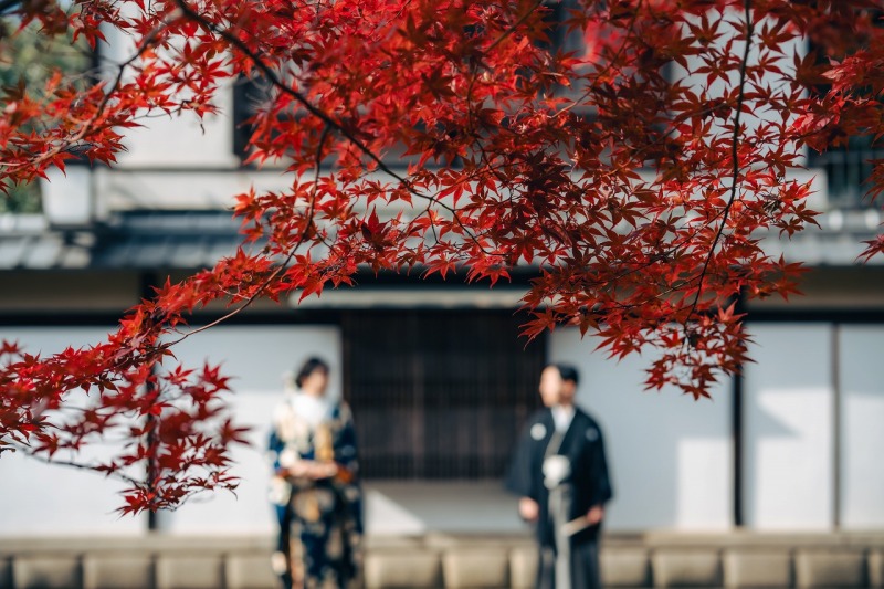 紅葉特割campaign【11月〜12月14日撮影】|10月末まで申し込み限定★割引特典付き|和装1着1カ所を巡れる‼
