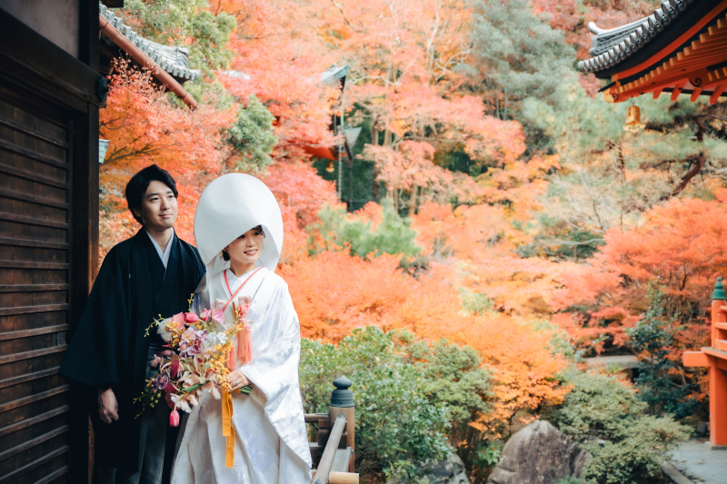 【11月和1】紅葉早割キャぺーン|新作も追加料金なし・全60着から選べる|京都紅葉名所1カ所で撮影|8月末までお申込み限定