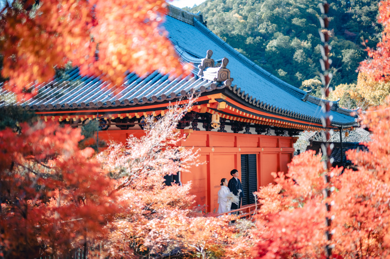 【11月20日~12月6日和2】第二弾!紅葉早割キャぺーン|新作追加料金なし全60着から選べる|2着2カ所撮影|9月末迄お申込み