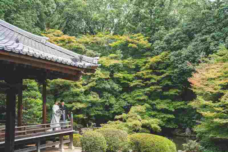 ☆京都満喫一花SP☆【隨心院】☆小野小町の生涯を描いたカラフルな襖絵♪ 和装1着1ヵ所ロケーションプラン