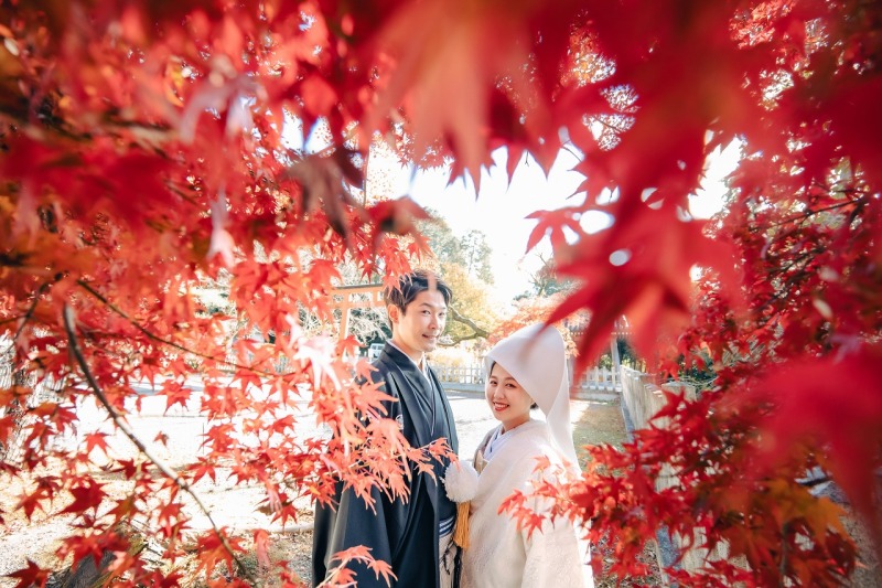 【9〜12月】撮影和装1着・1カ所|結婚式準備安心プラン|1週間スピード納品+3大特典