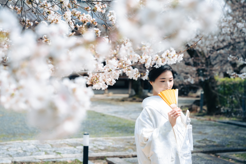 【3月4月撮影】桜早割campaign|和装1着1ヵ所【2月10日お申込の方限定】和装小物全てから選べる!ブーケやヘッド装花付き