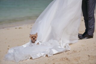 ilare wedding_ビーチフォトin読谷