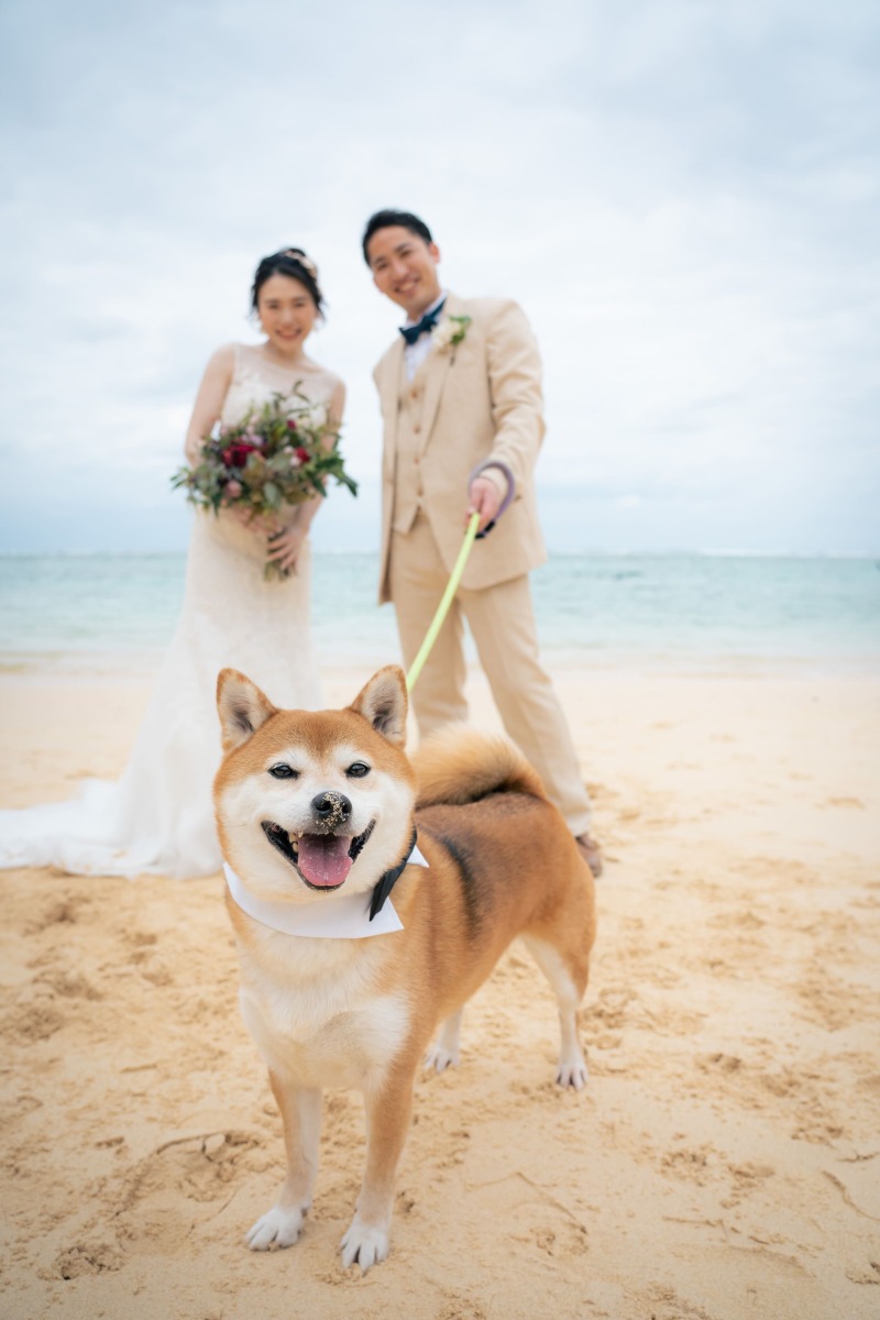 【ペットも一緒に☆】平日撮影限定☆ビーチフォトウェディング☆衣装フリーチョイス※ヘアメイクも込み込み☆100カット保障!