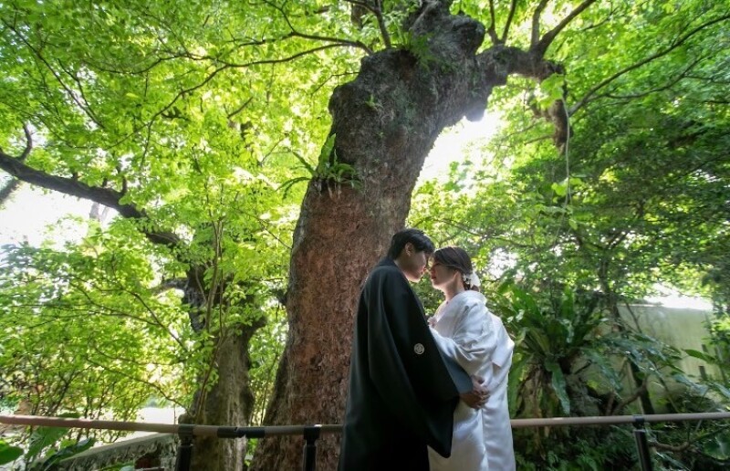 【8月中お申込限定】和装もdressも☆白無垢&ビーチフォトキャンペーン☆衣装+ヘアメイク着付け+100カット保障全データお渡し