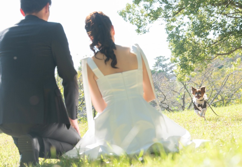 ちょっと走ってみました