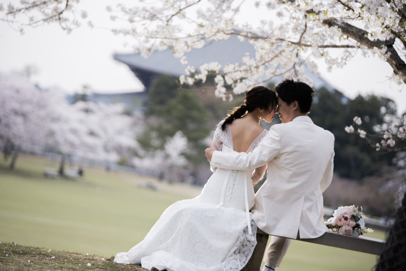 ドレスは春日園地で撮影を行いましいた