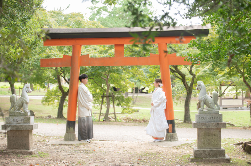 まずは春日園地の鳥居スポットから撮影を開始