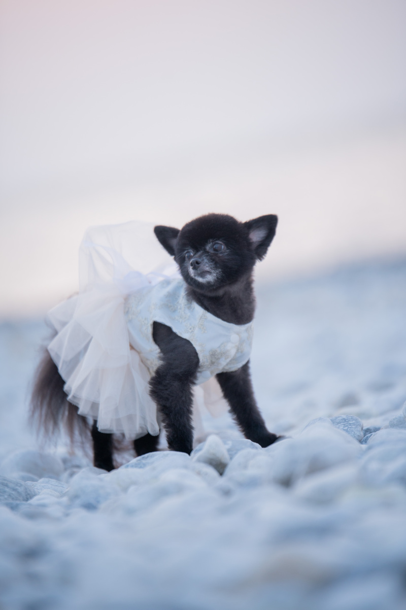 私もお色直ししましたよ