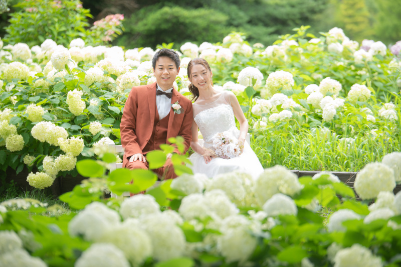 和洋セットカスタマイズ