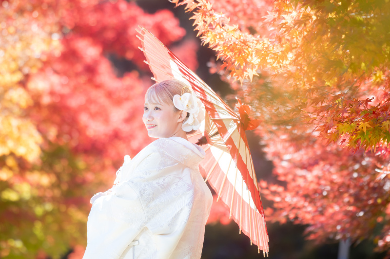 赤色だけでないコントラストは素敵なスポット