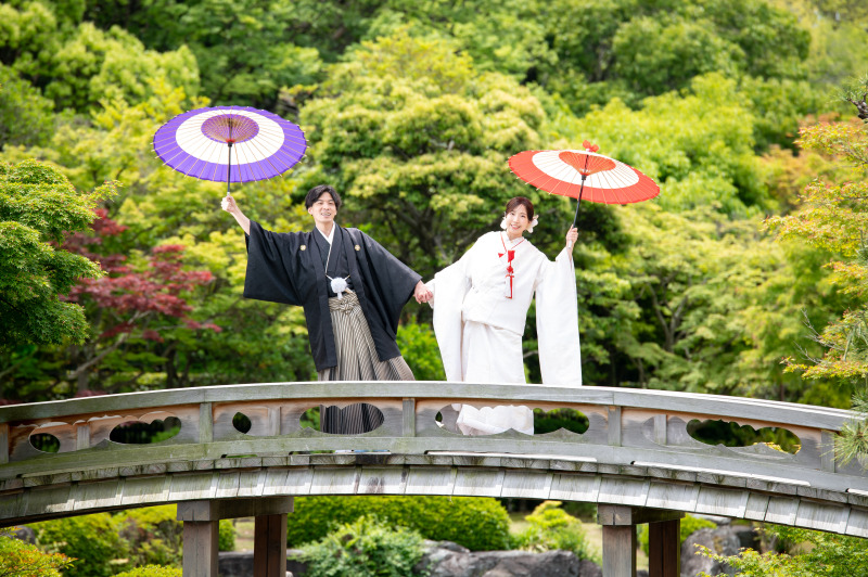 今回のプランはセットプランのカスタムです