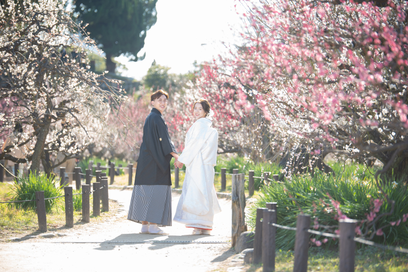 色々な梅の種類が色々なお花が咲いています