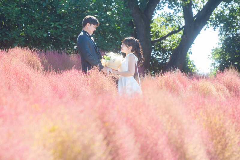 コキアの見頃の季節での撮影となりました
