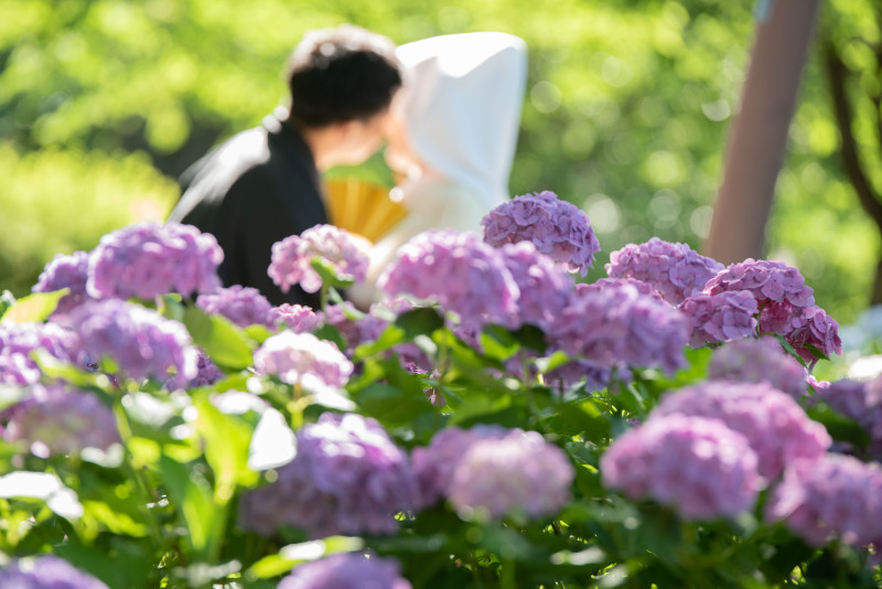 白無垢では綿帽子ご利用