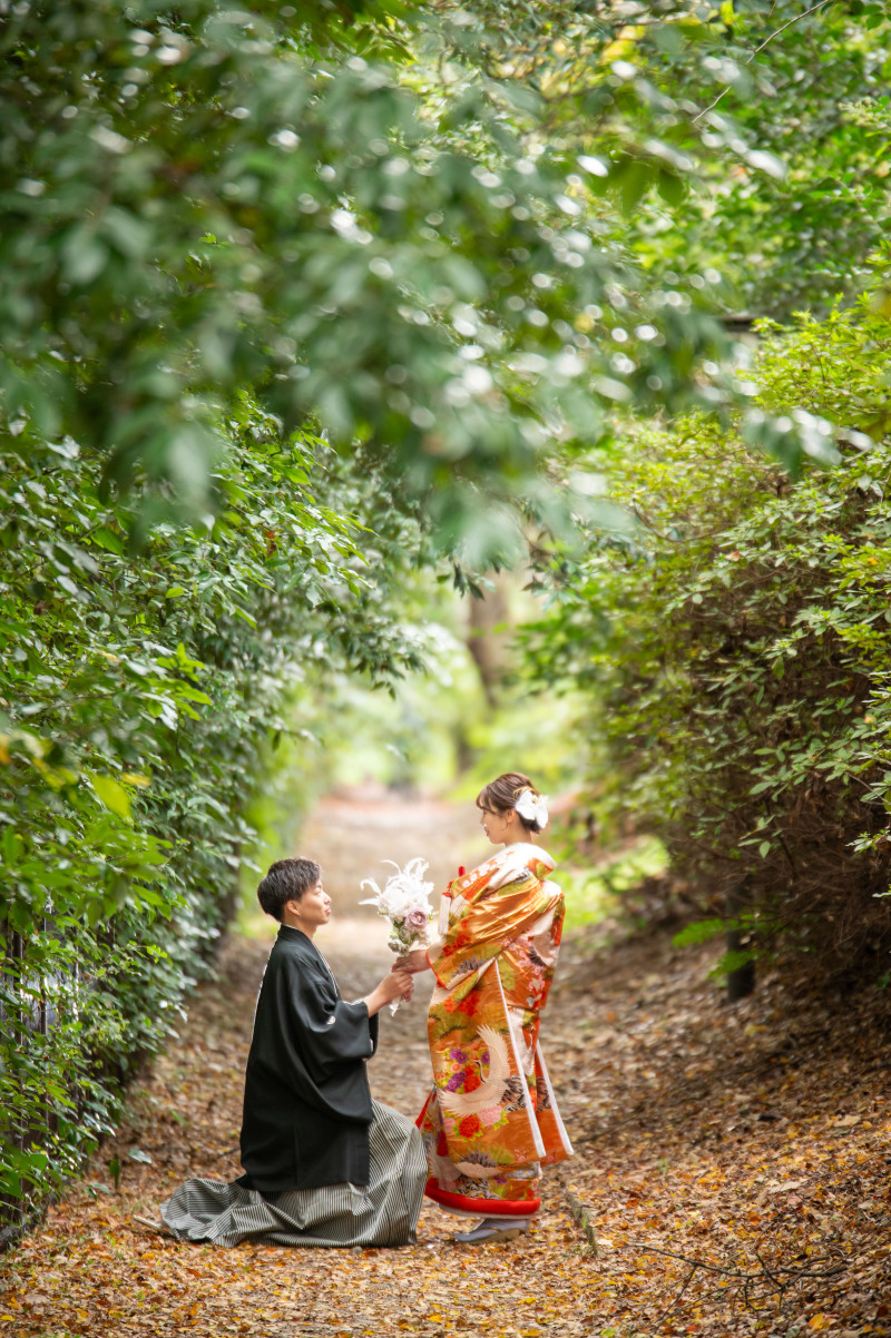 今日もよります緑のトンネル