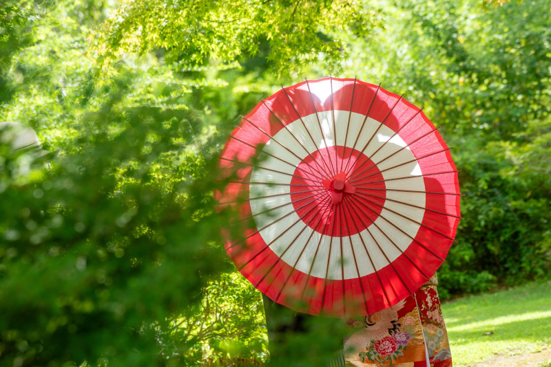 色打掛にチェンジして撮影を続行