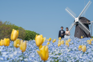 和装は3月河津桜、洋装は4月ネモフィラの和洋プラン