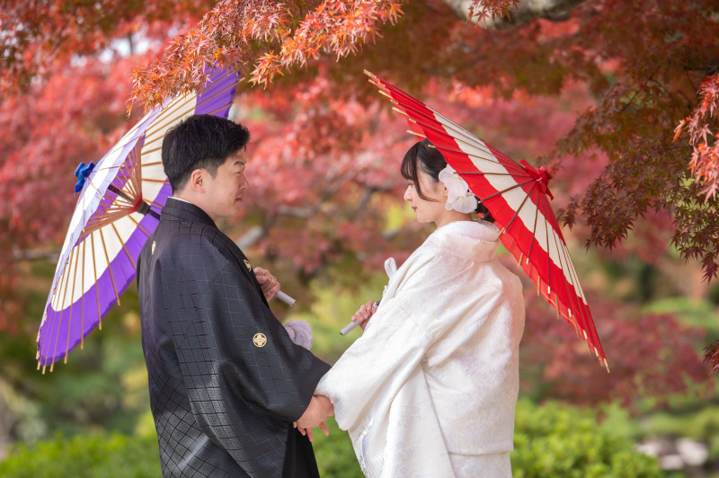 白無垢ともみじ、コントラストは素敵ですね