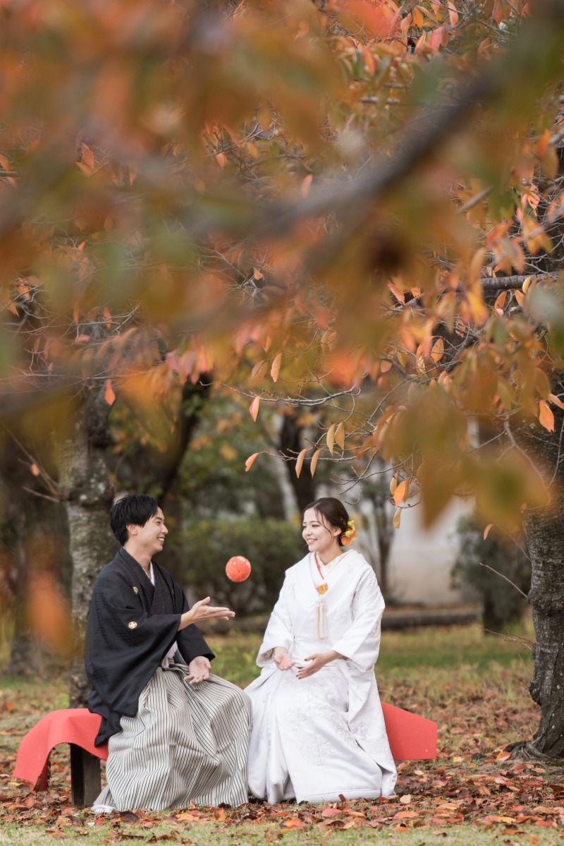 木々の種類によっては