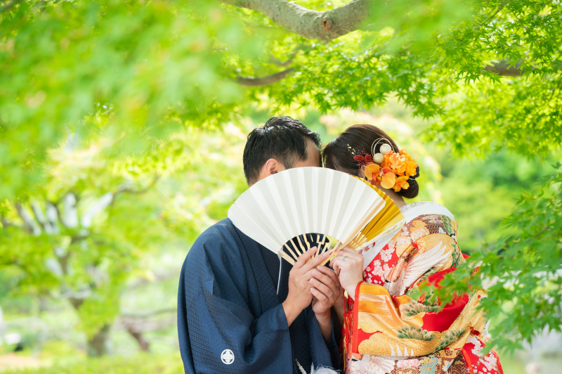 新緑の青紅葉で