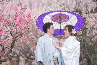 梅の桃の和装大阪城と夜景の綺麗な神戸洋装別日程でのご利用でした