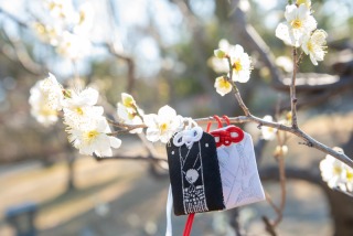 梅の季節の藤田邸跡公園と公会堂前広場ゴールデンアワータイムの和洋セット