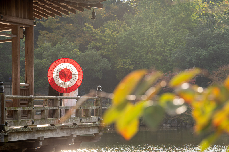 浮見堂に移動して撮影をします