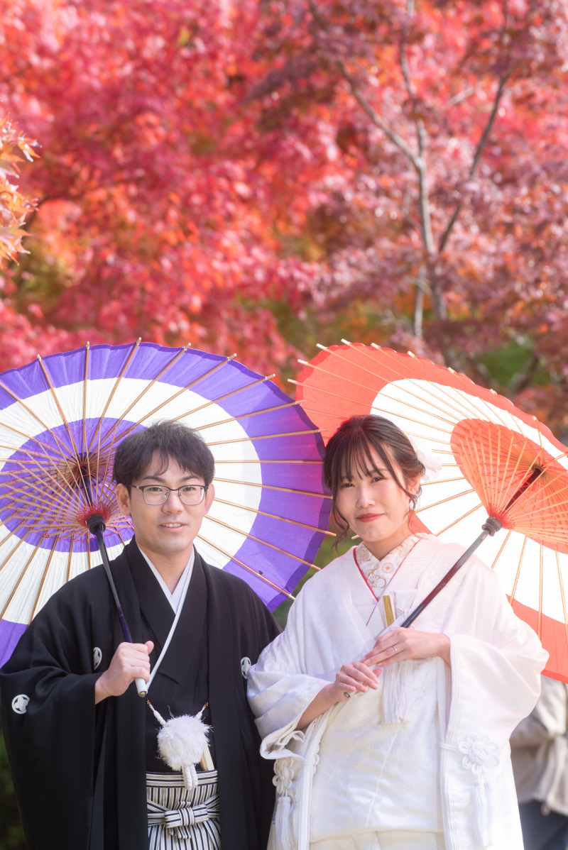 今日は和装2着、洋装は海と夜景の1日コース