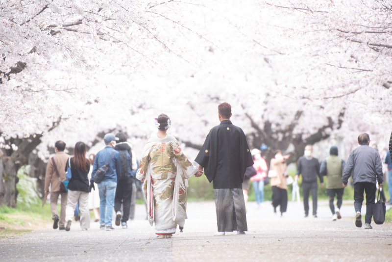 和装と洋装プランご利用レポート