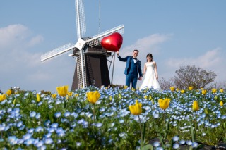 桜とネモフィラとチューリップと夜景