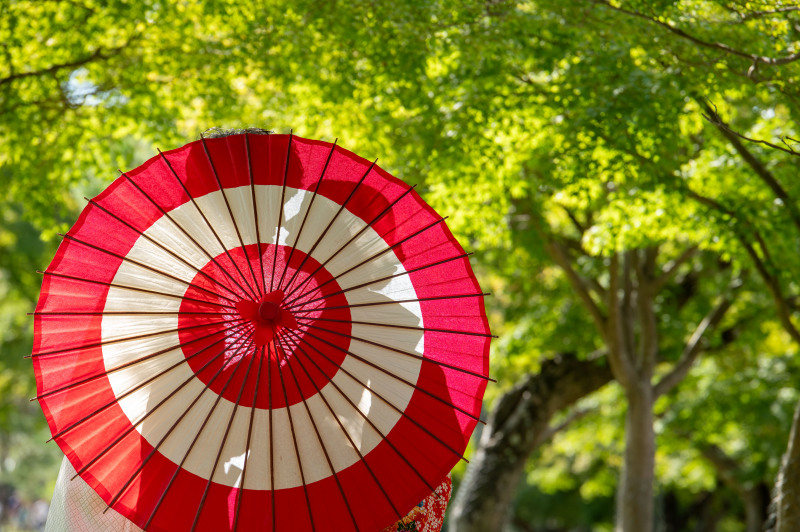 日中ですが和傘で影絵ショットの撮影