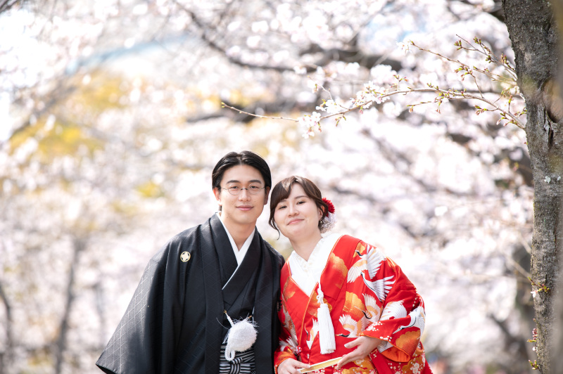 桜開花時期が心配でしたが無事頃合い良い開花に
