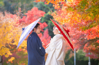 今年は秋を長く楽しめました