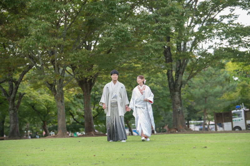9月はまだまだ緑が綺麗な奈良公園、移動シーン撮影