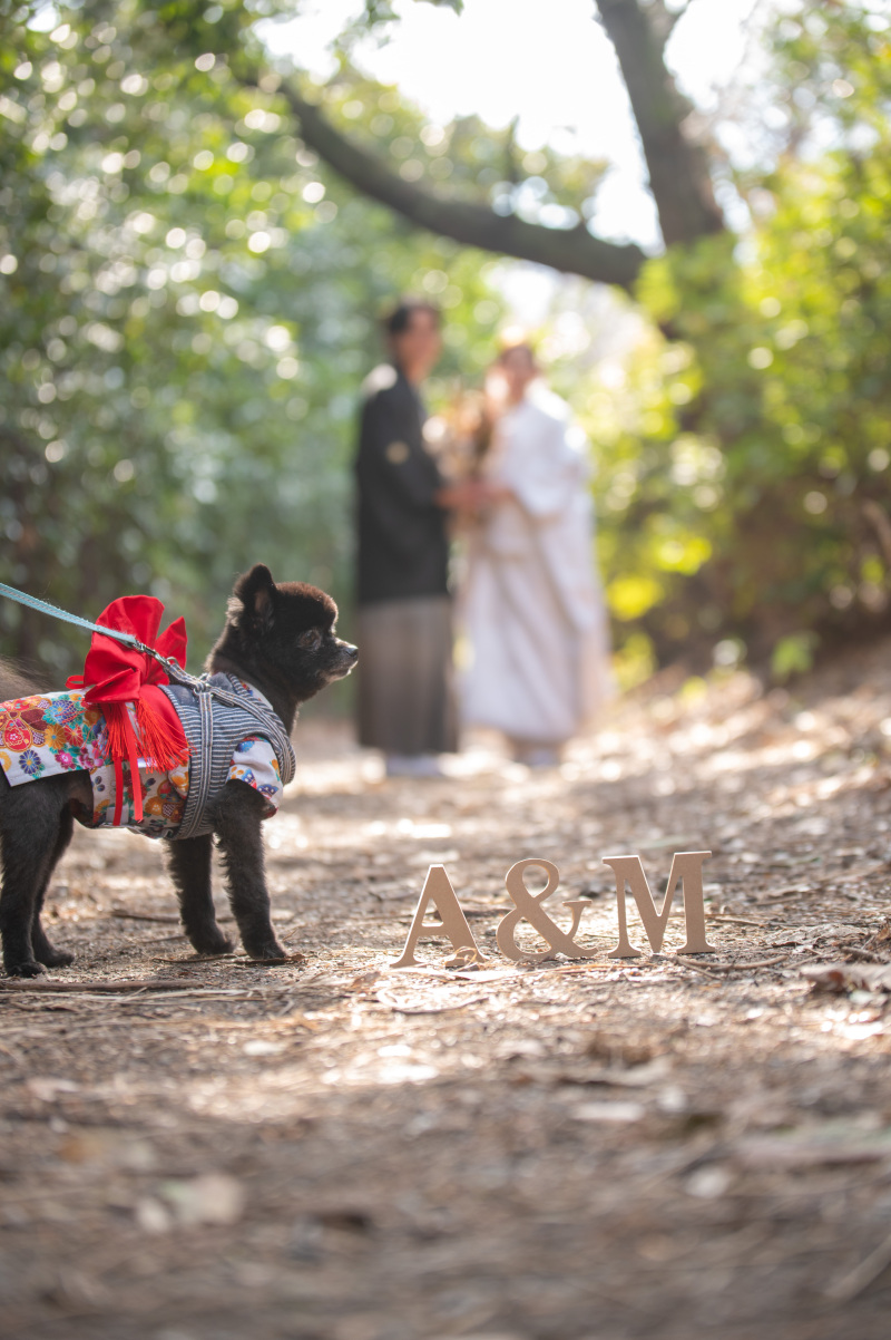 イニシャルお持ちいただきましたので使って。。。