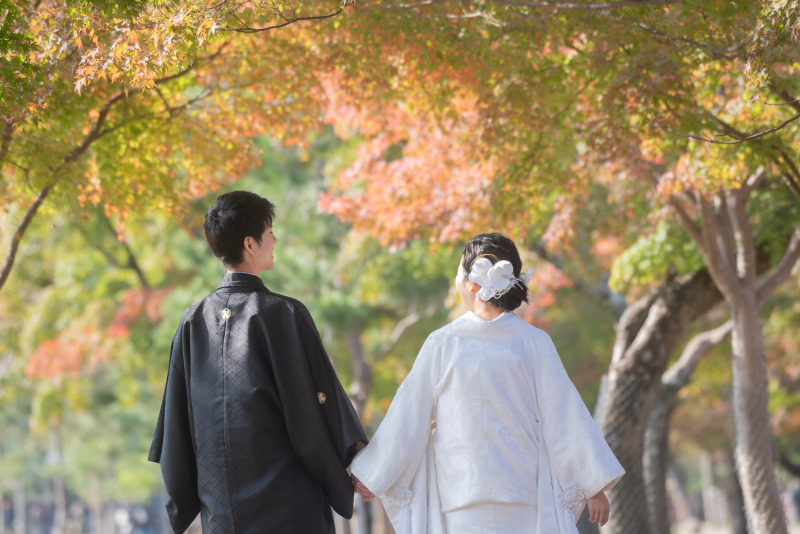 いい夫婦の日の奈良公園撮影となりました