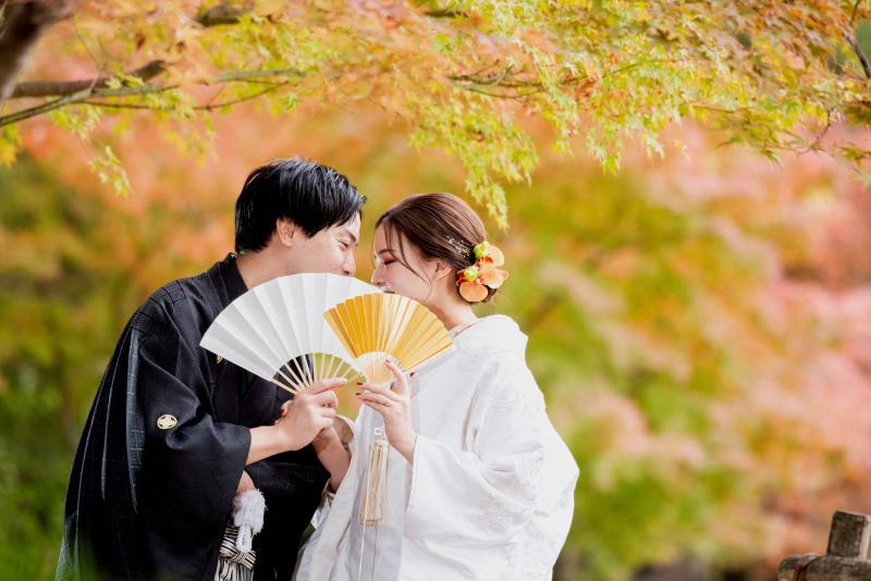 11月下旬から12月上旬が見頃ですが