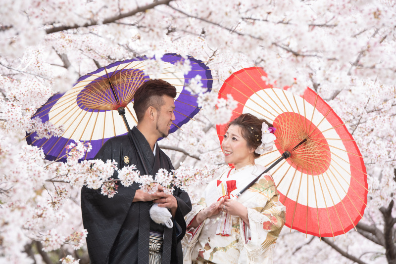 和装は桜の大阪城公園