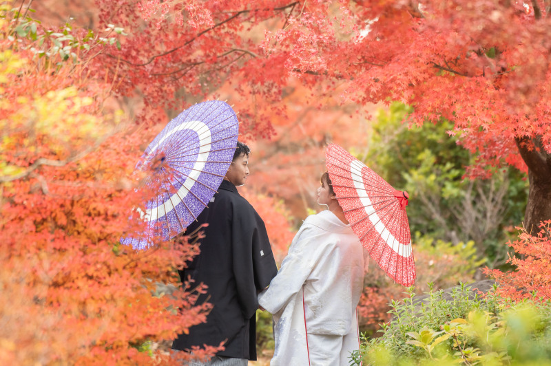 12月初旬でしたがまだ紅葉を楽しめるました